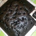 Cooksnap dari Mesi Astriani untuk resep Bronis panggang shiny crust