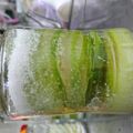 東東 的 【夏日簡單料理】糖漬檸檬(蜂蜜醃檸檬) cooksnap