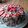 bartman138's cooksnap of when they made White Butter Cake.