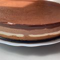 El cooksnap de Elena Ramos cuando hizo Tarta de 3 chocolates con mambo.