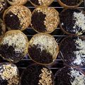 Cooksnap dari Anggi Puput Atha untuk resep Martabak Manis Bangka