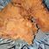 Cooksnap dari Dyah Ayu Irawati untuk resep Ayam Goreng Crispy Kentucky