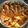 Samita Sar's cooksnap of when they made পার্শে মাছের ঝোল (Parshe macher jhol recipe in Bengali).