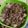 Cooksnap dari Josephine J A untuk resep Ayam giling kecap