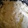 El cooksnap de Estefania Rojas cuando hizo Puré de Coliflor.