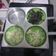 Cooksnap dari Yu Lin untuk resep Kue cubit