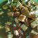 Cooksnap dari Astri Susan Natura untuk resep Tahu Kecap Kental Pedas