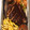 H Maigaree's cooksnap of when they made Grilled fish with chips.