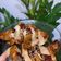 Ting 的 辣味照燒滷雞腿排 cooksnap