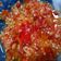 Cooksnap dari Rany Rizkysari untuk resep Sambal Korek