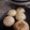 El cooksnap de Sofi Joti cuando hizo Muffins o Torta de pera.