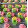 Cooksnap dari Rgeena🍮 untuk resep Maizena cookies - simple 3 bahan #32