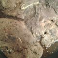 Sapphire13's cooksnap of when they made Pork Chops in Beer Sauce.