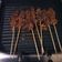 Cooksnap dari Diani Amelia untuk resep Sate Daging Sapi Bumbu Kecap Khas Sate Tegal