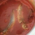 Cooksnap Fharah Othman semasa beliau membuat Asam Pedas Rebus Ikan Kembung.