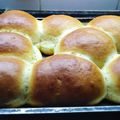 El cooksnap de liciagabrielafc cuando hizo Pan de leche en licuadora.