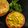Dipa Bhattacharyya's cooksnap of when they made ছোলার ডাল (Cholar dal recipe in bengali).