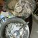 Cooksnap dari alkhansa untuk resep Bubur Abang Putih daun salam #DapurMerahPutih