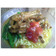 Cooksnap dari Malicha Zahra Saif untuk resep Mie Ayam simple & enak