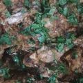 Haniya Khan's cooksnap of when they made Pakistani Chicken Karhai.