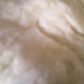 El cooksnap de Sandra R González cuando hizo Masa de empanada argentina.