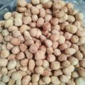 Cooksnap dari NIRSEU Kitćh untuk resep Kacang Telur Renyah