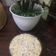 Cooksnap dari Nuhfa azirah untuk resep Chicken &Mushroom Cream Soup