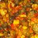 Cooksnap dari Vina Widya untuk resep Sambel goreng ati ampela pete
