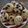 El cooksnap de Katia Concha Mellaffe cuando hizo Muffins de avena y berries.