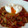 El cooksnap de Teresa cuando hizo Judias verdes con chorizo y huevo.
