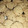El cooksnap de Carmen Leal cuando hizo Galletas de avena y coco.
