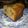 El cooksnap de Scar cuando hizo Pan dulce de nueces.