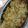 Cooksnap dari Vidya 'ayoe' untuk resep Lasagna #keto #debm