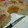 El cooksnap de Lorena Cippitelli cuando hizo Torta de manzana invertida.