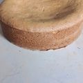 El cooksnap de Silvi Casco cuando hizo Budín navideño ricos, sencillos y súper fáciles de hacer 😋👌.
