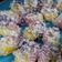 Cooksnap dari @AbangRezky_Agung untuk resep Kue Mata Roda