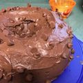 donna.taney's cooksnap of when they made Chocolate Chocolate Chip Cake.