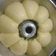 Cooksnap dari Citra Sunday untuk resep Bakpao (Roti sobek kukus) 😂