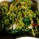 Cooksnap dari Mei Angreini Dewi untuk resep Tumis kangkung bunga pepaya😁