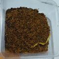Cooksnap dari indri yani untuk resep SERUNDENG TONGKOL pedas