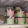 Cooksnap dari Evy Kurniawaty untuk resep Es krim pop ice lebaran