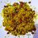 Madhvi Srivastava का कुकस्नैप जब उन्होंने पीनट्स पुलाव (peanuts pulao recipe in Hindi) बनाया था।