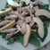 El cooksnap de Gaby cuando hizo Ensalada de espinacas con peras y pollo.