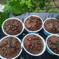 Cooksnap dari Dewi's Cooking untuk resep Muffin Coklat | Chocolate Chip Muffin Recipe