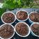 Cooksnap dari Dewi's Cooking untuk resep Muffin Coklat | Chocolate Chip Muffin Recipe