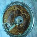 El cooksnap de mendez camila cuando hizo Rosca de Pascua fácil sin amasado.