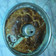 El cooksnap de mendez camila cuando hizo Rosca de Pascua fácil sin amasado.