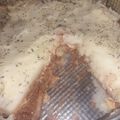 El cooksnap de Daii Mi cuando hizo Pastel de papas!.