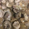 El cooksnap de cdlr cuando hizo Riñones al Jerez.