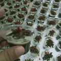 Cooksnap dari liacepi untuk resep Puding 🍮 Blackforest 🍫